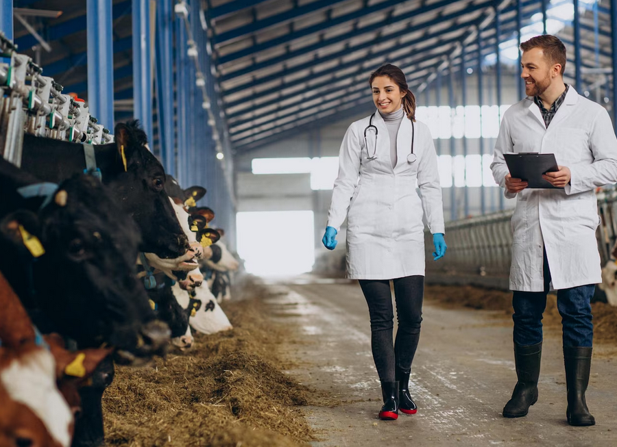 Filière Agriculture Tropicale Production Animale — BTS / DUT